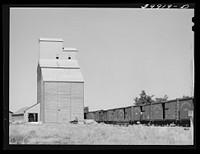 Elevator and railroad cars. Eureka, Walla Walla County, Washington by Russell Lee
