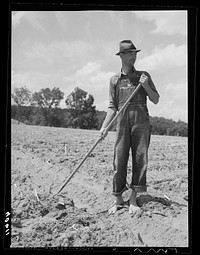 Tobacco farmer with hoe for "chopping" places where the plants are to be dropped. Near Farrington, Orange County, North Carolina. Sourced from the Library of Congress.