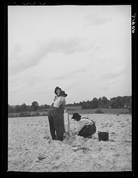 [Untitled photo, possibly related to: Tenant farmer and part of his family in field ready for tobacco planting. Nine miles north of Danville, Pittsylvania County, Virginia]. Sourced from the Library of Congress.