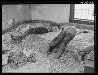 [Untitled photo, possibly related to: Sleeping quarters for a group of Florida migratory workers near Onley, Virginia]. Sourced from the Library of Congress.