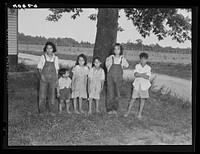 Children of Italian migratory workers who have come from Delaware to work in the onion fields near Cedarville, New Jersey. Sourced from the Library of Congress.