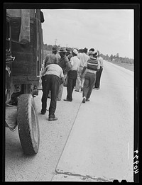 This truck carrying about thirty-seven North Carolina migrants to pick beans near Easton, Maryland broke down on the road near Princess Anne, Maryland. Sourced from the Library of Congress.