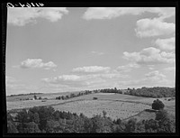 [Untitled photo, possibly related to: Farm landscape near Liberty, Pennsylvania, along Route 15]. Sourced from the Library of Congress.