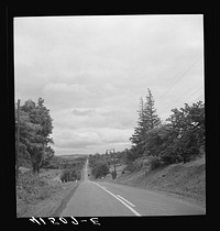 Highway Route 79, near Ithaca, New York. Sourced from the Library of Congress.