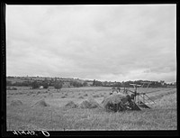 Landscape near Ithaca, New York. Sourced from the Library of Congress.