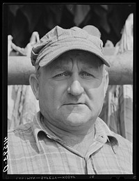 Mr. Frank Brockoneski, Polish tobacco farmer and FSA (Farm Security Administration) client, near Windsor Locks, Connecticut. Sourced from the Library of Congress.