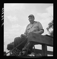 [Untitled photo, possibly related to: Mr. Fred Schoenleber. Has a thirty-six acre tobacco farm near Warehouse Point, Connecticut. A crew of thirty were being employed to harvest the crop]. Sourced from the Library of Congress.