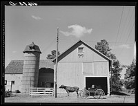 Horse and buggy at smith shop on the farm of Emerson J. Leonard. Westville, Connecticut. Sourced from the Library of Congress.