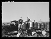 Loading barrels of potatoes from the fields on to a truck to be taken to the storehouse. On a farm near Caribou, Maine. Sourced from the Library of Congress.