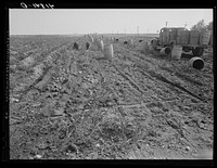 [Untitled photo, possibly related to: Truck carrying empty barrels back to the fields on one of the farms of the Woodman Potato Company near Caribou, Maine]. Sourced from the Library of Congress.