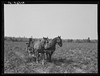 [Untitled photo, possibly related to: Rear view of a single-row potato digger used on a small farm near Caribou, Maine]. Sourced from the Library of Congress.