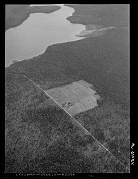 Potato seed foundation farm near Van Buren, Maine, showing isolation. Sourced from the Library of Congress.