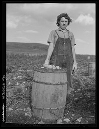 Daughter of Mr. Ziphirin Jendreau, French-Canadian potato farmer. She is helping pick potatoes on their small farm near Saint David, Maine. Sourced from the Library of Congress.