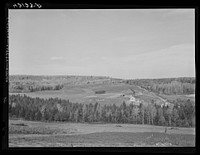 Isolated seed foundation unit of Mr. Lindore Labbee, French-Canadian. Shot shows how fields are surrounded on all sides by forest. Wallagrass, Maine. See general caption Arrostook number 1. Sourced from the Library of Congress.