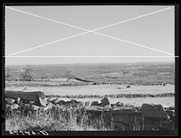 Landscape showing stone fences near Baltic, Connecticut. Sourced from the Library of Congress.