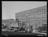 Christmas trees for sale at the market. Providence, Rhode Island. Sourced from the Library of Congress.