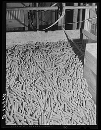 Corn cobs in Kenyon's johnnycake flour mill in Usquepaugh, Rhode Island. Sourced from the Library of Congress.