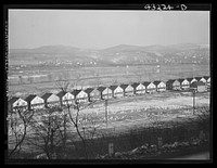 Houses near west Aliquippa, Pennsylvania. Sourced from the Library of Congress.