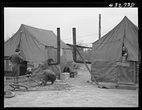 Tent of migratory workers employed at Fort Bragg, North Carolina. These tents were part of a small settlement at Manchester, North Carolina (about twelve miles from Fayetteville). They were paying a dollar a week for tent space-- this included water and light. One spigot at the general store furnished water for the entire camp up to 6 p.m.. Sourced from the Library of Congress.
