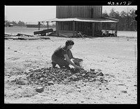 [Untitled photo, possibly related to: Woman who lives with her family in the upper part of tobacco barn, gathering coal. Husband works at Fort Bragg. Near Fayetteville, North Carolina]. Sourced from the Library of Congress.