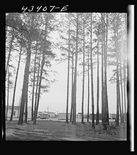 [Untitled photo, possibly related to: Trailer settlement of workers from Fort Bragg near the woods. Near Fayetteville, North Carolina]. Sourced from the Library of Congress.