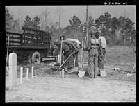 Digging new graves for a cemetery that is being moved out of the Santee-Cooper basin. Near Bonneau, South Carolina. Sourced from the Library of Congress.