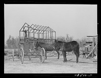 Tearing down a house to be moved out of the Santee Cooper basin near Bonneau, South Carolina. Sourced from the Library of Congress.