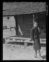 [Untitled photo, possibly related to: Children of a "squatter" family who were preparing to move out of the Spartanburg Army camp area. Near Whitestone, South Carolina region]. Sourced from the Library of Congress.