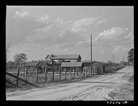 [Untitled photo, possibly related to: Abandoned turpentine still might be put to use by Hazlehurst Farms Inc., Hazlehurst, Georgia]. Sourced from the Library of Congress.