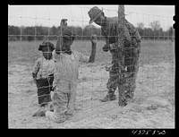 [Untitled photo, related to: Putting up a fence at the community garden for the es at Hazlehurst Farms Inc.]. Sourced from the Library of Congress.