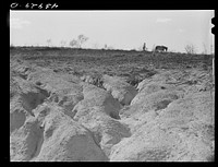 [Untitled photo, possibly related to: Erosion south of Franklin. Heard County, Georgia]. Sourced from the Library of Congress.