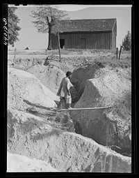 [Untitled photo, possibly related to: Erosion in south section of Heard County, Georgia]. Sourced from the Library of Congress.