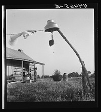 [Untitled photo, possibly related to:  farm family near Greensboro, Alabama who are participants in a FSA (Farm Security Administration) dairy co-op]. Sourced from the Library of Congress.
