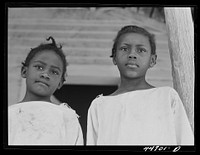 The children of Mr. Peter Champion, FSA (Farm Security Administration) borrower near White Plains, Greene County, Georgia. Sourced from the Library of Congress.