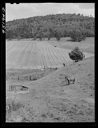 Farm landscape near Hanover, New Hampshire. Sourced from the Library of Congress.