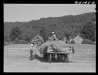Gathering hay on the farm of Emanuel Rink, dairy farmer near Brookline, Vermont. Sourced from the Library of Congress.