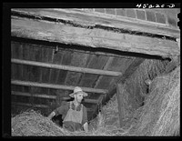 [Untitled photo, possibly related to: Mr. Silas Butson, FSA (Farm Security Administration) client, loading hay into his barn. Athens, Vermont]. Sourced from the Library of Congress.