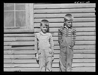 Children of a dairy farmer near Rutland, Vermont. Sourced from the Library of Congress.