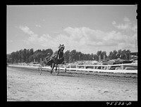 The sulky races at the Rutland Fair, Vermont. Sourced from the Library of Congress.