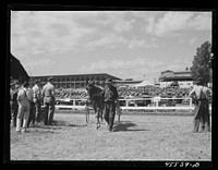 [Untitled photo, possibly related to: At the sulky races at the Rutland Fair, Vermont]. Sourced from the Library of Congress.