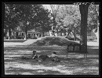 Boys lounging in the square in Enosburg Falls, Vermont. Sourced from the Library of Congress.
