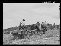 [Untitled photo, possibly related to: William Gaynor, FSA (Farm Security Administration) dairy farmer near Fairfield, Vermont]. Sourced from the Library of Congress.