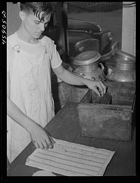 [Untitled photo, possibly related to: Recording the weight of milk at the United Farmers' Co-op Creamery in East Berkshire, Vermont]. Sourced from the Library of Congress.