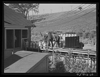 Farmer unloading milk cans at the United Farmers' Co-op Creamery. East Berkshire, Vermont. Sourced from the Library of Congress.