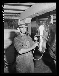 Mr. George Perry, one of the farmers still in the Pine Camp expansion area near New York. He has not yet been able to find a place to move to. Sourced from the Library of Congress.