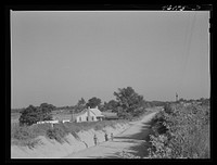 Siloam, Greene County, Georgia (vicinity). Newly creosoted house occupied by a  family along a road. Sourced from the Library of Congress.