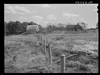 Fence recently built by FSA (Farm Security Administration) on a farm near Carey Station, Greene County, Georgia. Sourced from the Library of Congress.