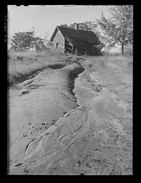 [Untitled photo, possibly related to: Erosion on a farm west of Greensboro, Greene County, Georgia]. Sourced from the Library of Congress.