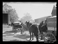 [Untitled photo, possibly related to: At the cotton gin in Siloam on ginning day, Greene County, Georgia]. Sourced from the Library of Congress.