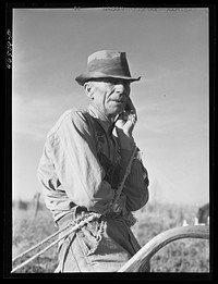 Mr. W.H. Holmes, a renter on the Wray place, plowing sweet potatoes, Greene County, Georgia. Sourced from the Library of Congress.